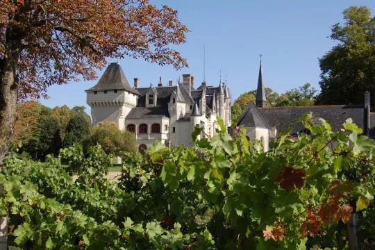 Château la Grille à Chinon