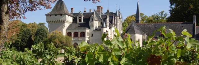 Château la Grille à Chinon