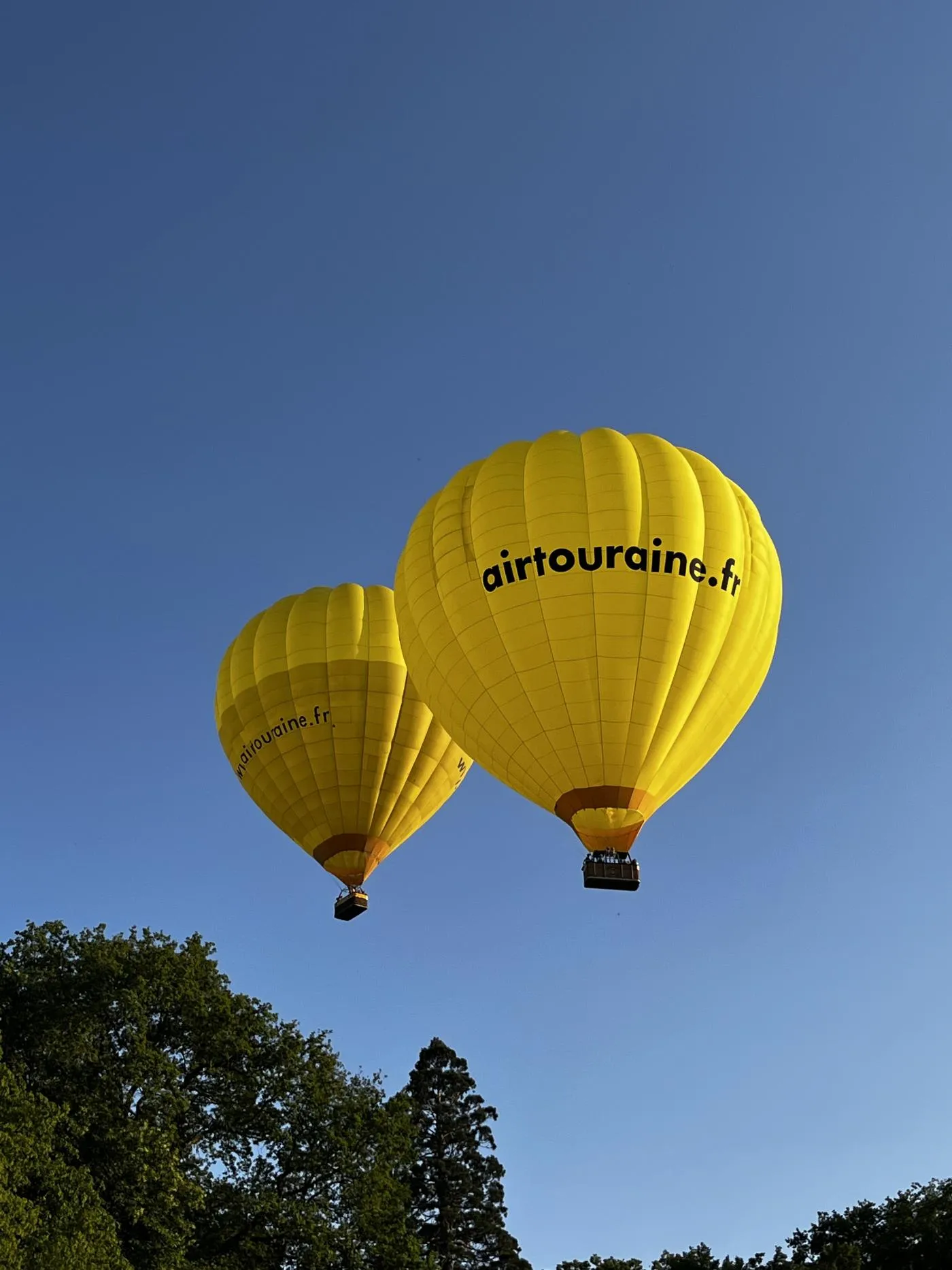Volo in mongolfiera sui castelli della Loira con partenza da Amboise