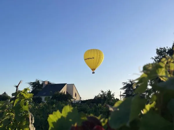 Volo in mongolfiera sui castelli della Loira con partenza da Amboise