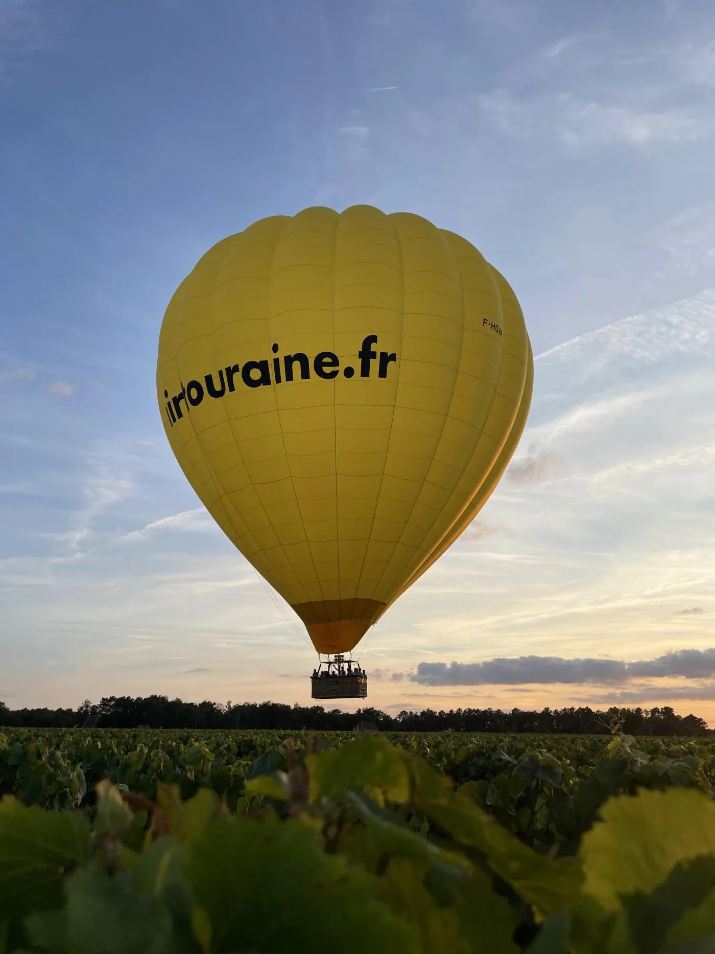 Ballonvaart boven de kastelen van de Loire vanuit Amboise